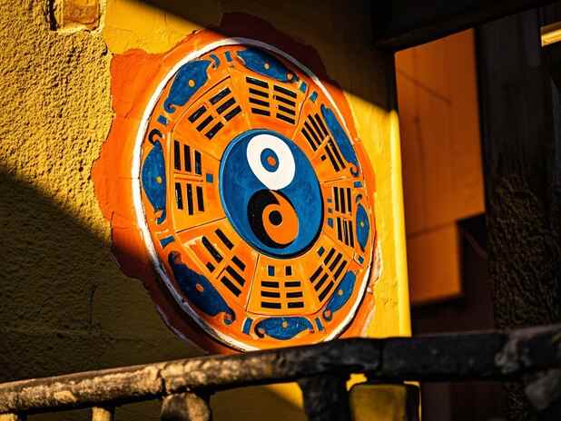 属狗轮回的生活指导：在生活中如何应用这些知识？
